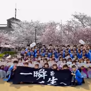 京都さくらよさこい 2022