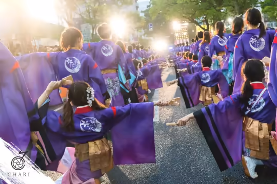 『藤結び』リミックス動画