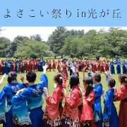 よさこい祭り in 光が丘公園