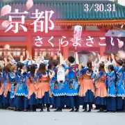 京都さくらよさこい