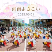 湘南よさこい祭り