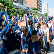湘南よさこい祭り 一枚目