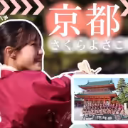 京都さくらよさこい